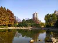 상하이 신홍교센터정원—도심 속 자연과 예술이 어우러진 꿈꾸는 섬