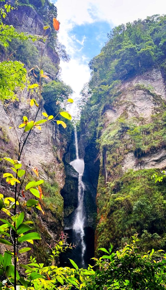 秘境森林徒步路線
