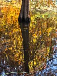 這不是燕雀湖這簡直是大自然的油畫