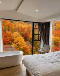 住進風景裡藏寨秘境裡的神仙酒店太絕了