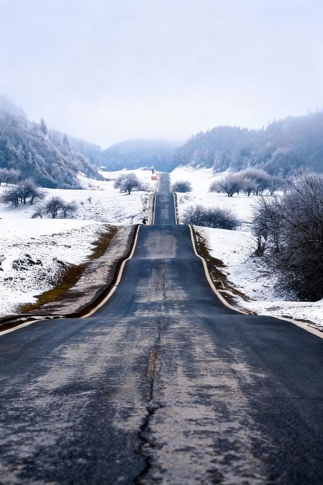 是童話裡的雪景啊,這裡美哭了! 是童話裡的雪景啊,這裡美哭了!