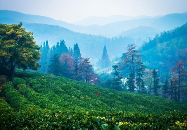 汽車下坡加油,上坡減油門的怪地方。 汽車下坡加油,上坡減油門的怪地方。