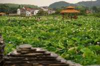 汽車下坡加油,上坡減油門的怪地方。