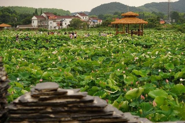 汽車下坡加油,上坡減油門的怪地方。 汽車下坡加油,上坡減油門的怪地方。