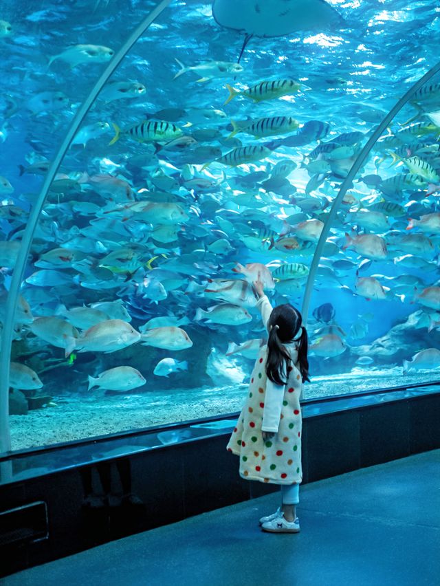 本地人親測,這裡就是泉州遛娃天花板 本地人親測,這裡就是泉州遛娃天花板