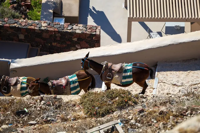 伊亞｜聖托里尼的封面女郎！
