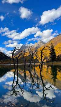 秋季最美川西小眾秘境,雪山下的藏寨美到失語