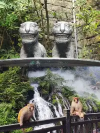 宜昌旅遊攻略 三峽人家三峽大壩 船進三峽