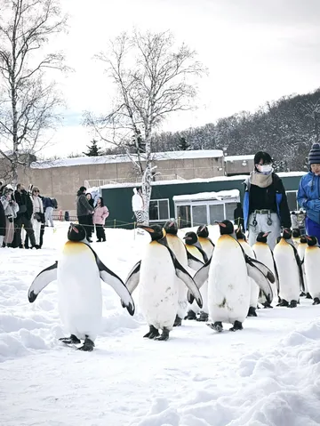 北海道穿搭南方人雪地保命指南