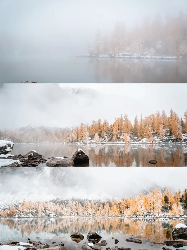 黨嶺3天2夜徒步攻略(不露營版) 黨嶺3天2夜徒步攻略(不露營版)