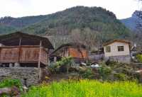 雲南怒江-霧裡村