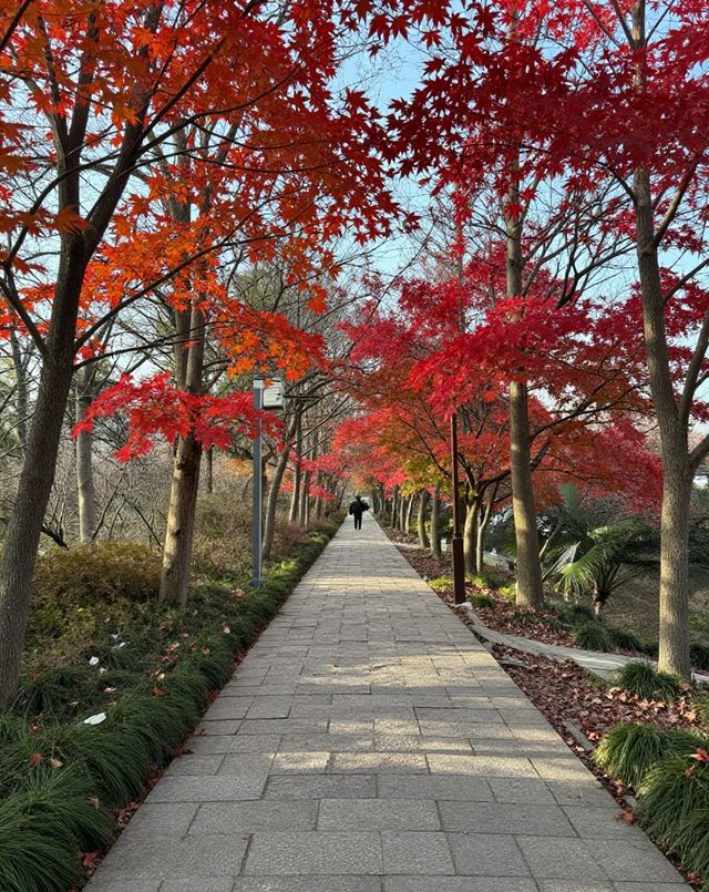 建築與自然的詩意碰撞|踏千年城垣,尋江南福地,感受古邑風雅 建築與自然的詩意碰撞|踏千年城垣,尋江南福地,感受古邑風雅