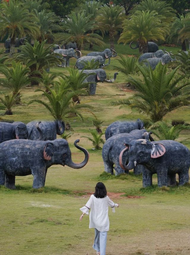 版納市區私藏!膠片感避世秘境 版納市區私藏!膠片感避世秘境