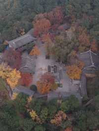 常熟小眾秘境！小雲棲寺的冬天真的美哭了！