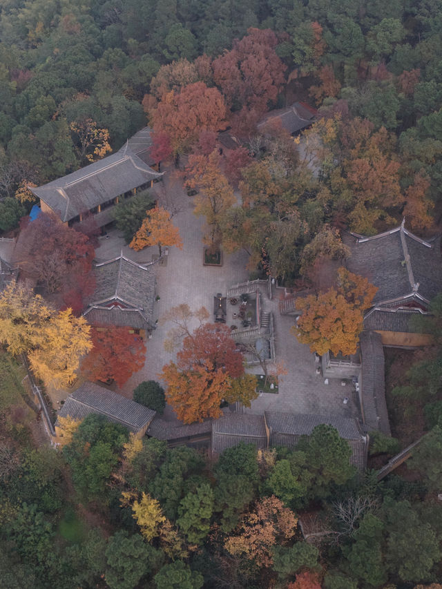 常熟小眾秘境！小雲棲寺的冬天真的美哭了！