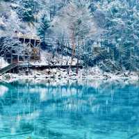 下雪的九寨溝美到窒息！這場"豪賭"太值了