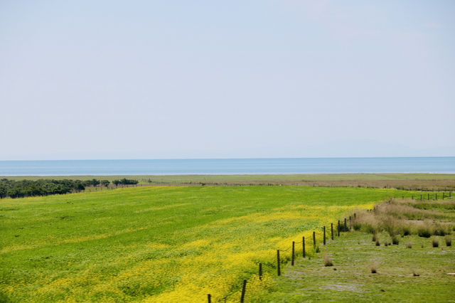 仙海錯溫布-庫庫諾爾-青海湖青海天境遊 仙海錯溫布-庫庫諾爾-青海湖青海天境遊