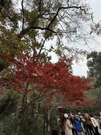 長沙 / 岳麓山景區