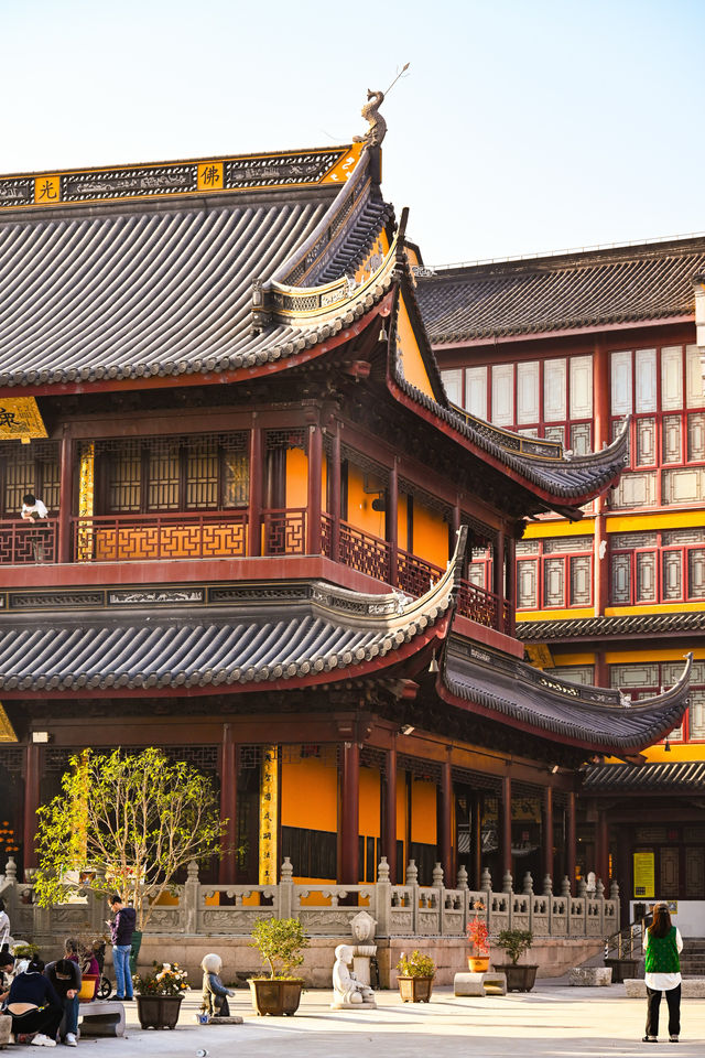 千年古銀杏，就藏在這個淀山湖畔的小眾寺院