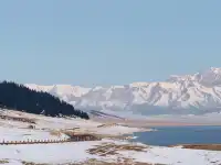 賽里木湖冬日限定粉色雪山