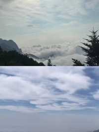 廬山杉與山青民宿：牯嶺鎮的雲端治癒秘境