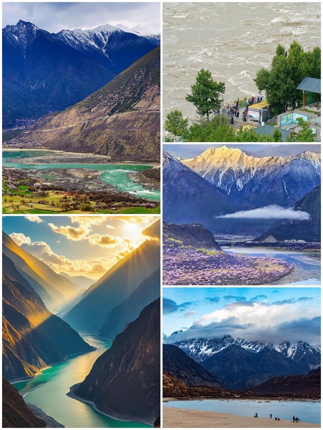 西藏林芝深度遊:邂逅雪山桃花與森林的浪漫 西藏林芝深度遊:邂逅雪山桃花與森林的浪漫