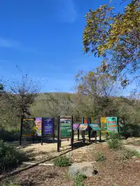 洛杉磯隱藏版城市青丘Ascot Hills Park