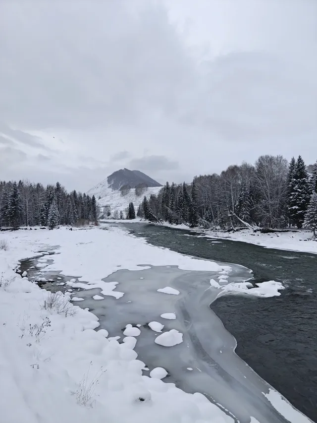 12月喀納斯河！闖入現實版冰雪童話世界