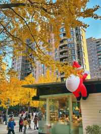 金色暴擊!上海黃金城道銀杏濃度已滿格!