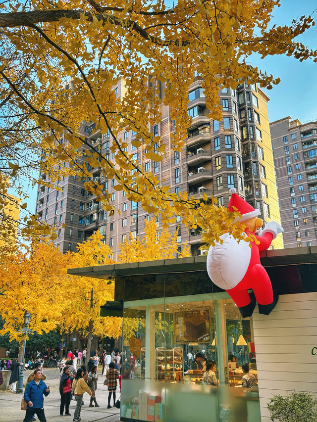 金色暴擊!上海黃金城道銀杏濃度已滿格! 金色暴擊!上海黃金城道銀杏濃度已滿格!
