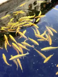 故宮 | 盛京·奉天·瀋陽