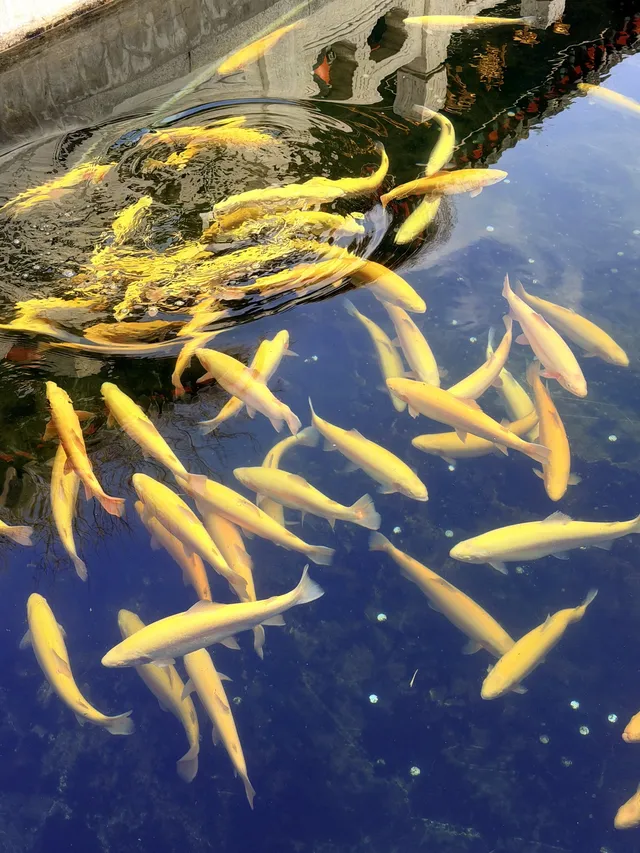 故宮 | 盛京·奉天·瀋陽