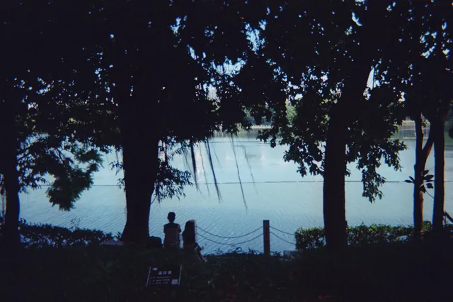 一座城一卷膠|南寧 一座城一卷膠|南寧