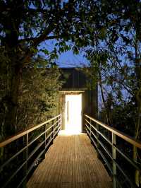 溧陽美岕山野溫泉度假村 | 藏在竹林間的暖湯度假