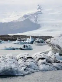冰島冰河湖遇見海豹|是冬天zui溫柔的驚喜
