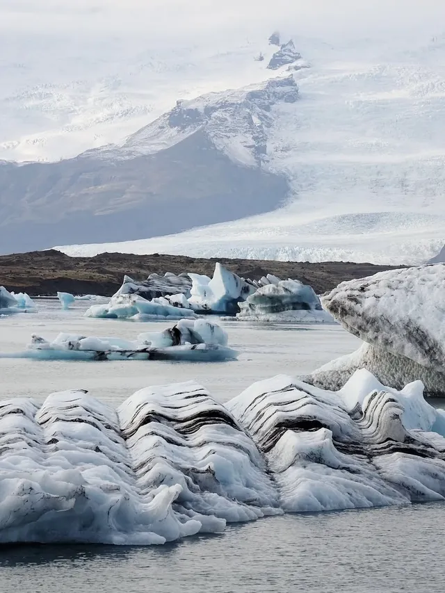 冰島冰河湖遇見海豹|是冬天zui溫柔的驚喜 冰島冰河湖遇見海豹|是冬天zui溫柔的驚喜