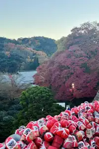 大阪勝尾寺夜間點燈絕美!跟白天完全不同