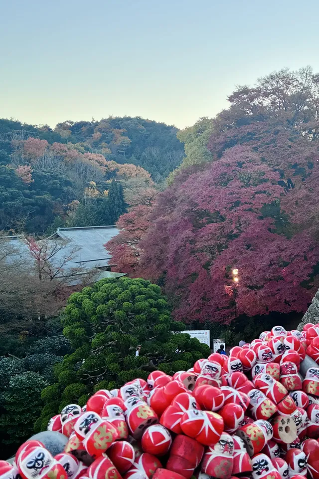 大阪勝尾寺夜間點燈絕美!跟白天完全不同 大阪勝尾寺夜間點燈絕美!跟白天完全不同
