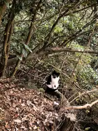 靜心之旅～九華山