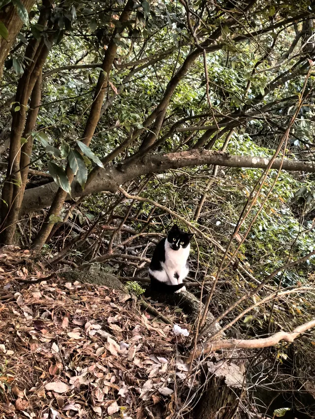 靜心之旅～九華山