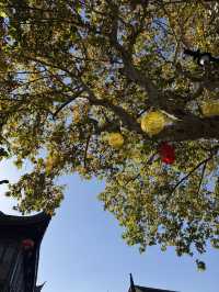 南翔古鎮必逛路線