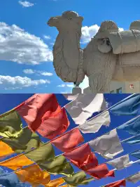 交換一張你在茶卡鹽湖的照片