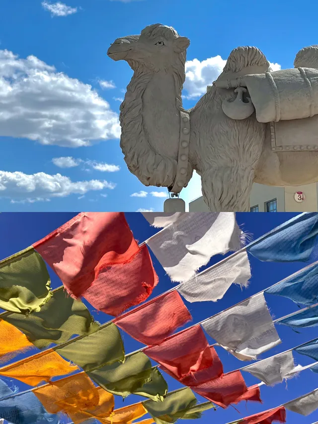 交換一張你在茶卡鹽湖的照片