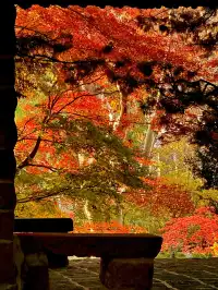 12.5號實拍 | 魯迅公園週末應該會有萬人參觀