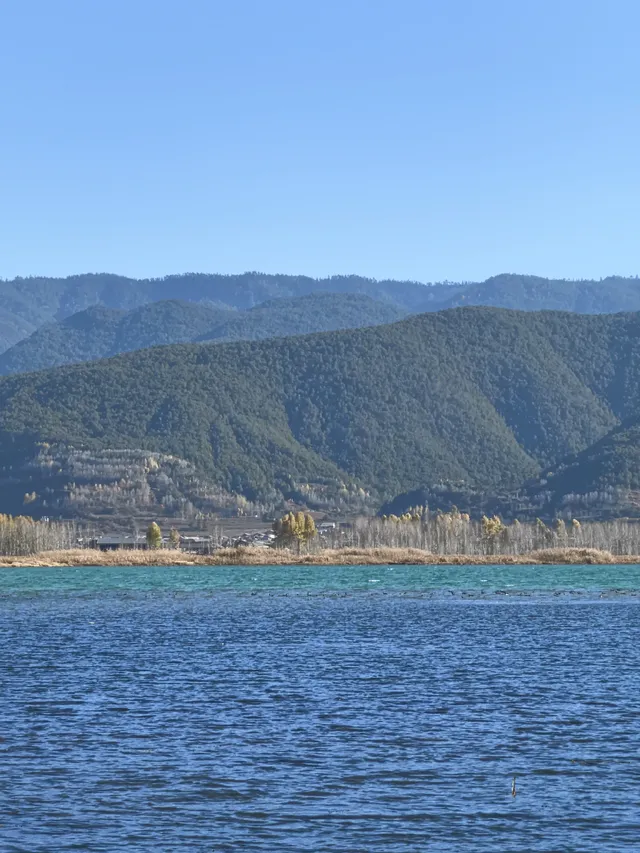 在瀘沽湖酒店看到晨霧！12.5實拍