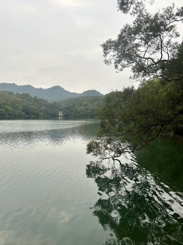 江門隱秘美景森林湖 江門隱秘美景森林湖