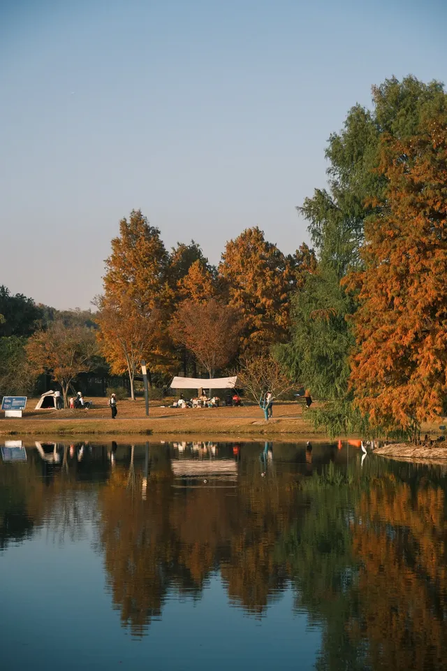 上海辰山植物園|去過超十次,還是想去! 上海辰山植物園|去過超十次,還是想去!