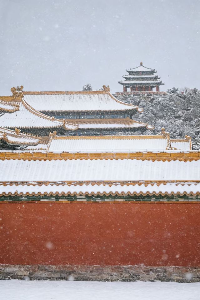 瀋陽故宮的雪太絕了!冬日限定版紅牆白雪,美到窒息! 瀋陽故宮的雪太絕了!冬日限定版紅牆白雪,美到窒息!