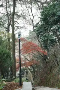 浙江徒步|古堡配紅楓跟風最成功的一次