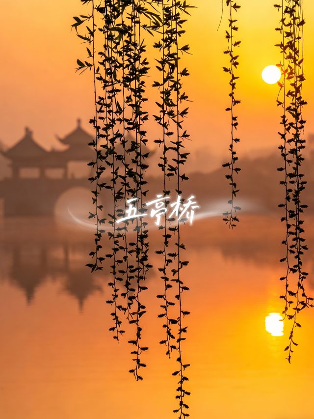 12月的揚州，把冬天過成一幅畫